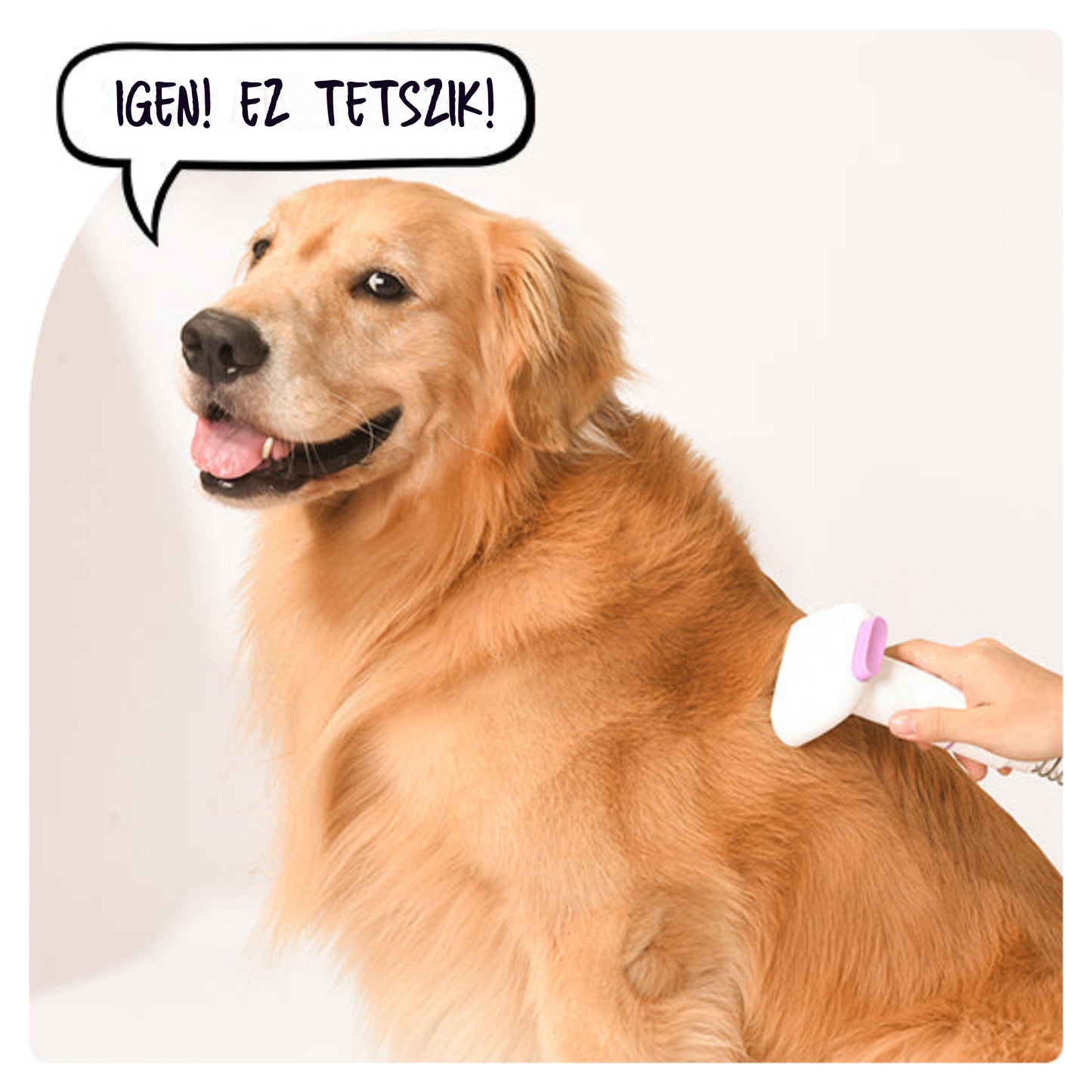 🎉 Korlátozott idejű ajánlat 9 óra🎉 Pet multifunkciós groomer-Veltura™ állatápoló készlet